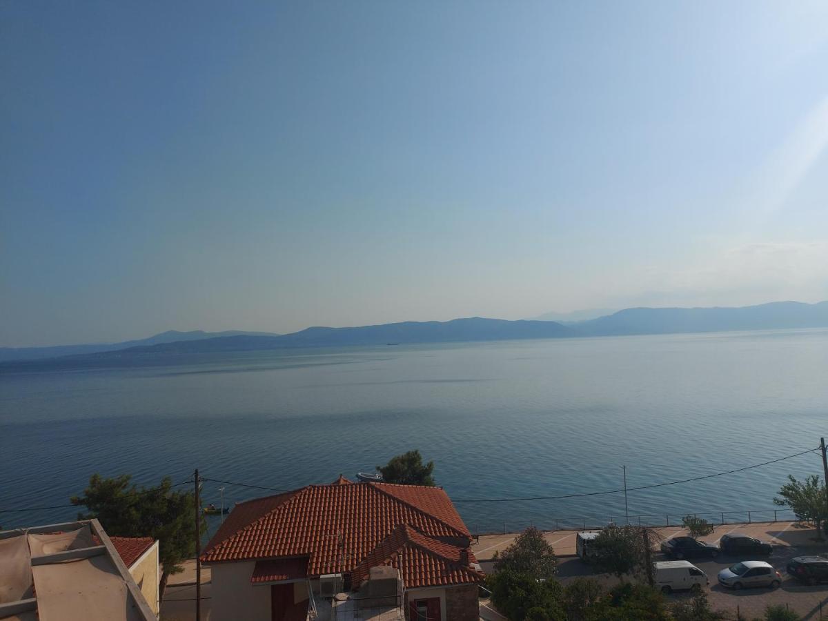 Hotel Banbus Loutra Edipsou  Buitenkant foto